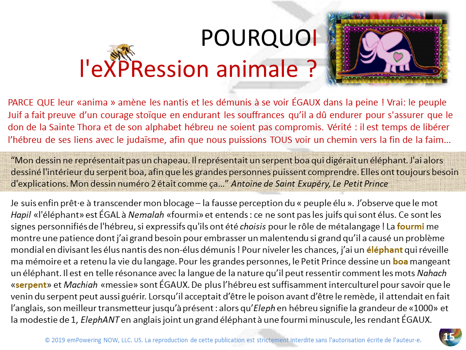 Golden_XPR_French - 0_XPR-OR-15