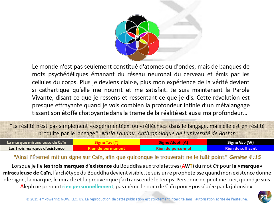Golden_XPR_French - 0_XPR-OR-23