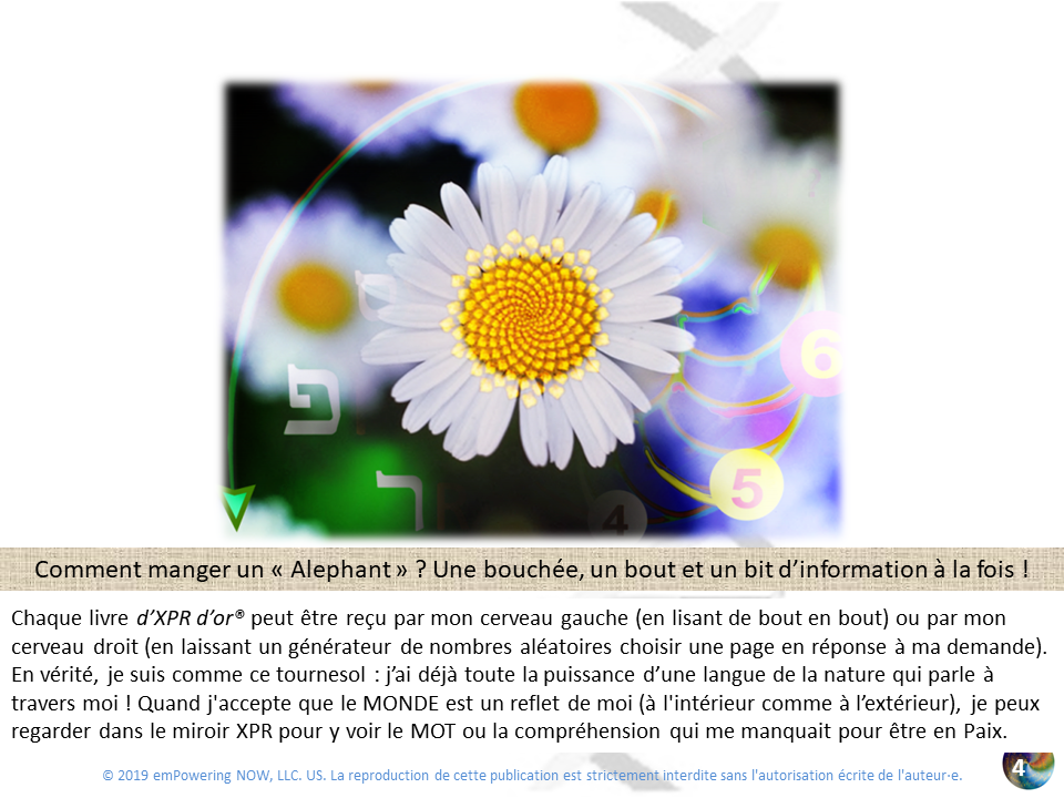 Golden_XPR_French - 0_XPR-OR-4