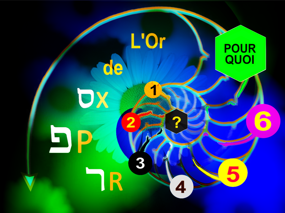 Golden_XPR_French - 0_XPR_OR-01.png