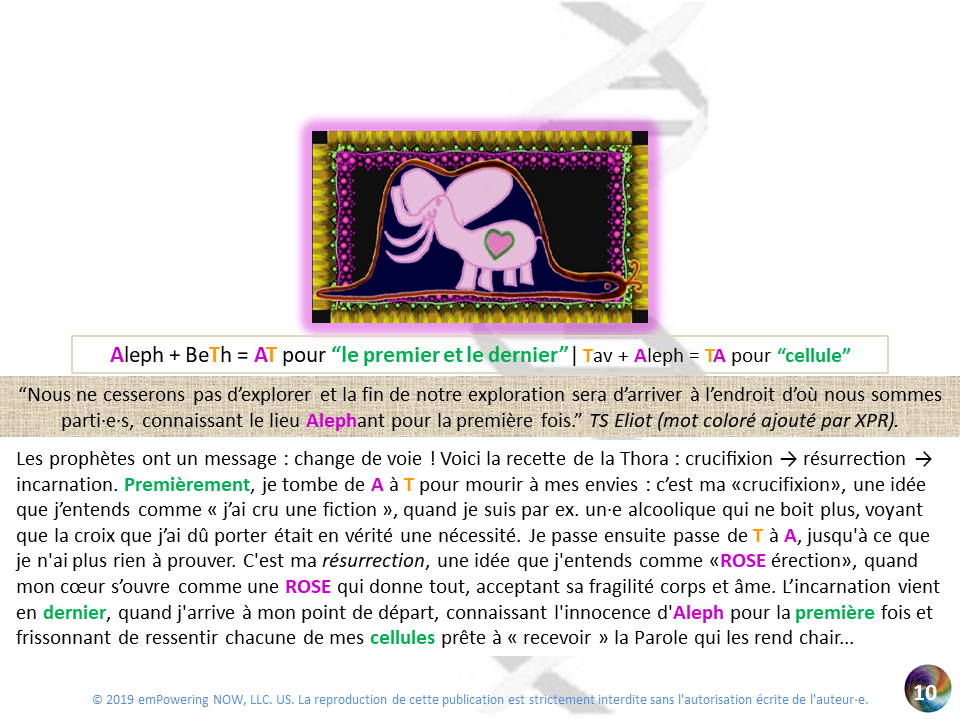Golden_XPR_French - 0_XPR_OR-10.png