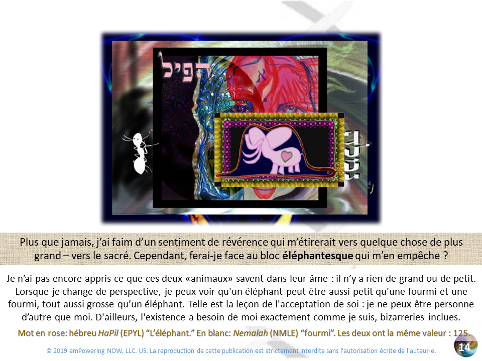Golden_XPR_French - 0_XPR_OR-14.png