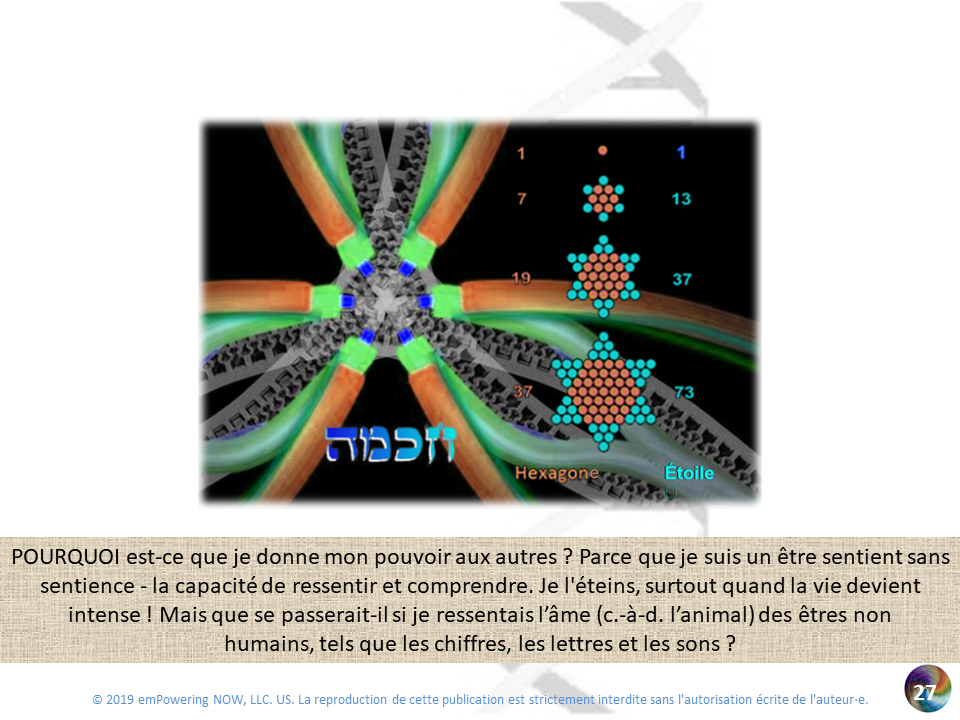 Golden_XPR_French - 0_XPR_OR-27.png