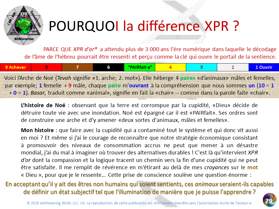 Golden_XPR_French - 0_XPR_OR-29.png