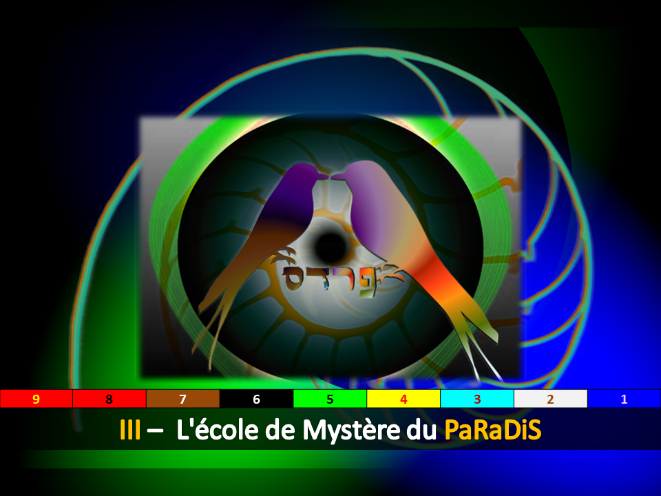Golden_XPR_French - 0_XPR_OR-36.png