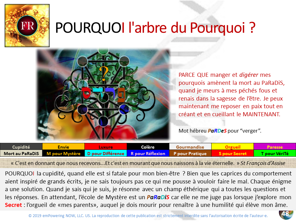 Golden_XPR_French - 0_XPR_OR-48.png