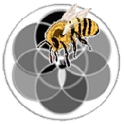 TSP - tsp_bee