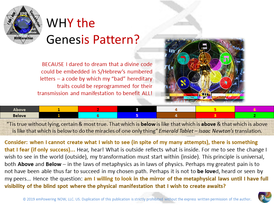 The_Genesis_Pattern - 02-The_Genesis_Pattern_B1_-03.png