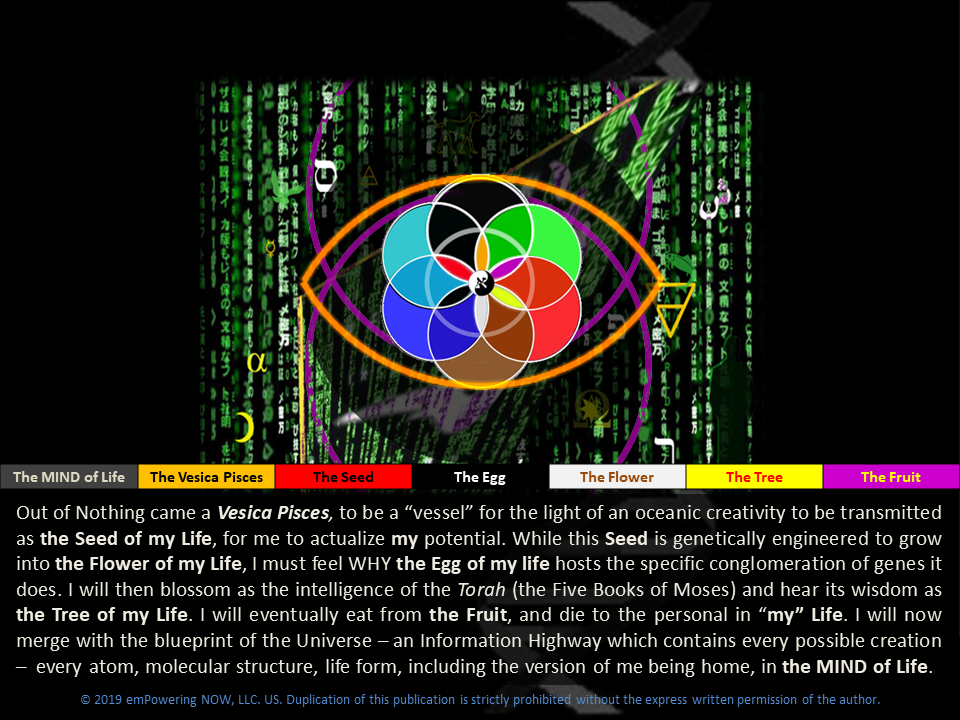 The_Genesis_Pattern - 02-The_Genesis_Patternc_B1-5.png