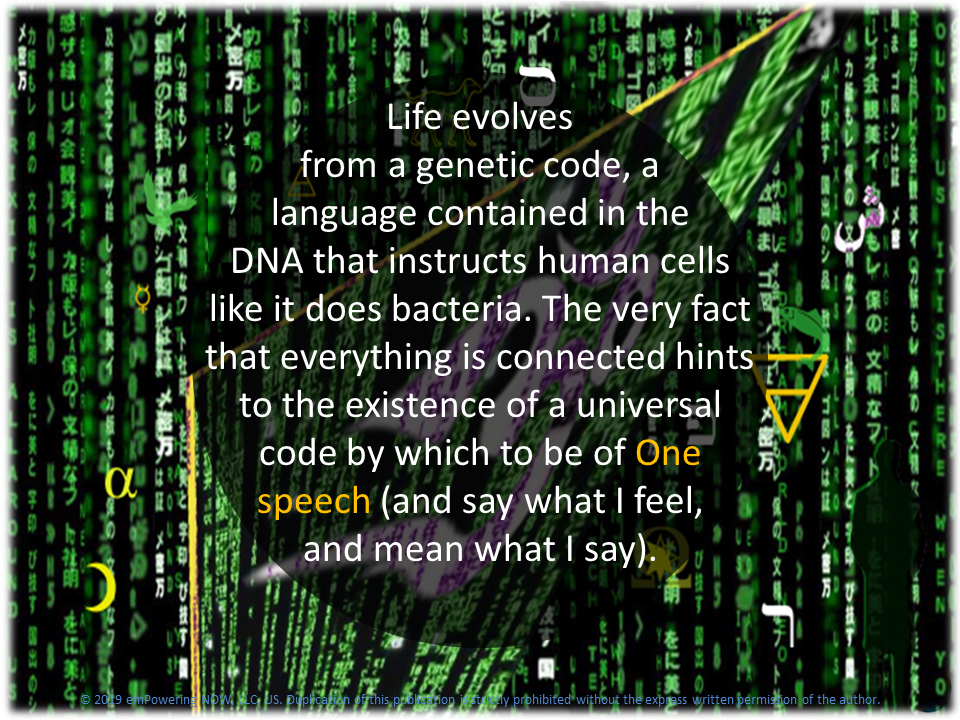 The_Genesis_Pattern - 2_The-Genesis-PatternN-B1-11