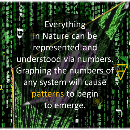 The_Genesis_Pattern - The_Genesis_Pattern-13.png