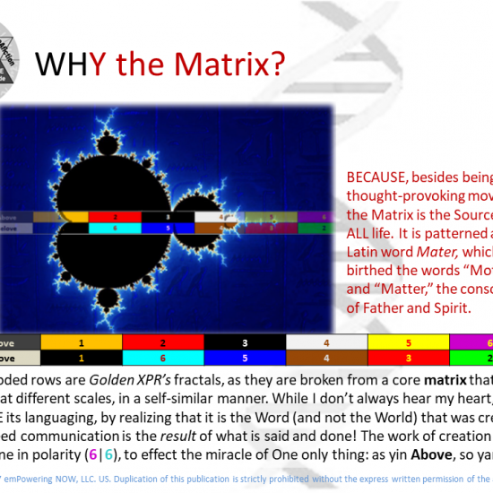 The_Genesis_Pattern - The_Genesis_Pattern-14.png