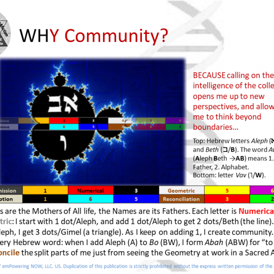 The_Genesis_Pattern - The_Genesis_Pattern-20.png