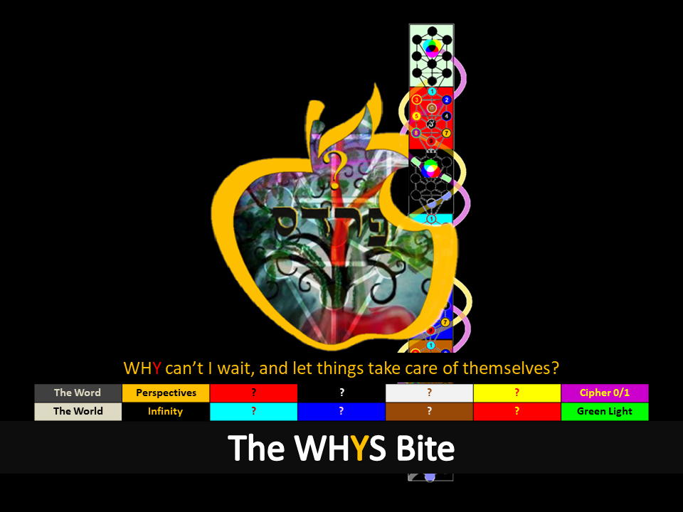 The WHYS Bite