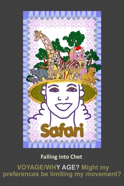 eXPiRe_Tarot_Basic - 08_Chet_Safari_423.jpg