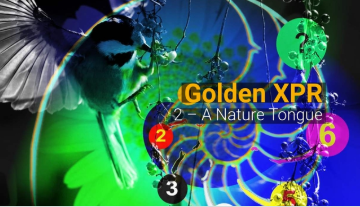 Videoz-Coversz-animotoz-images - Golden_xpr_intro_video_2_cover3.png