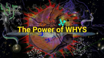 Videoz-Coversz-animotoz-images - The_Power_of_WHYS_cover.png